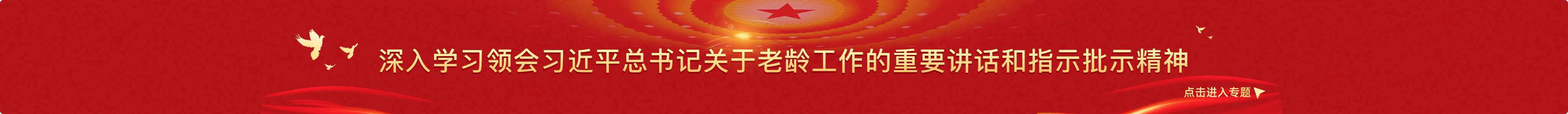 深入學(xué)習(xí)領(lǐng)會(huì)習(xí)近平總書記關(guān)于老齡工作的重要講話和指示精神